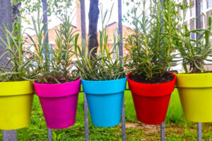 horta em apartamento vasos coloridos